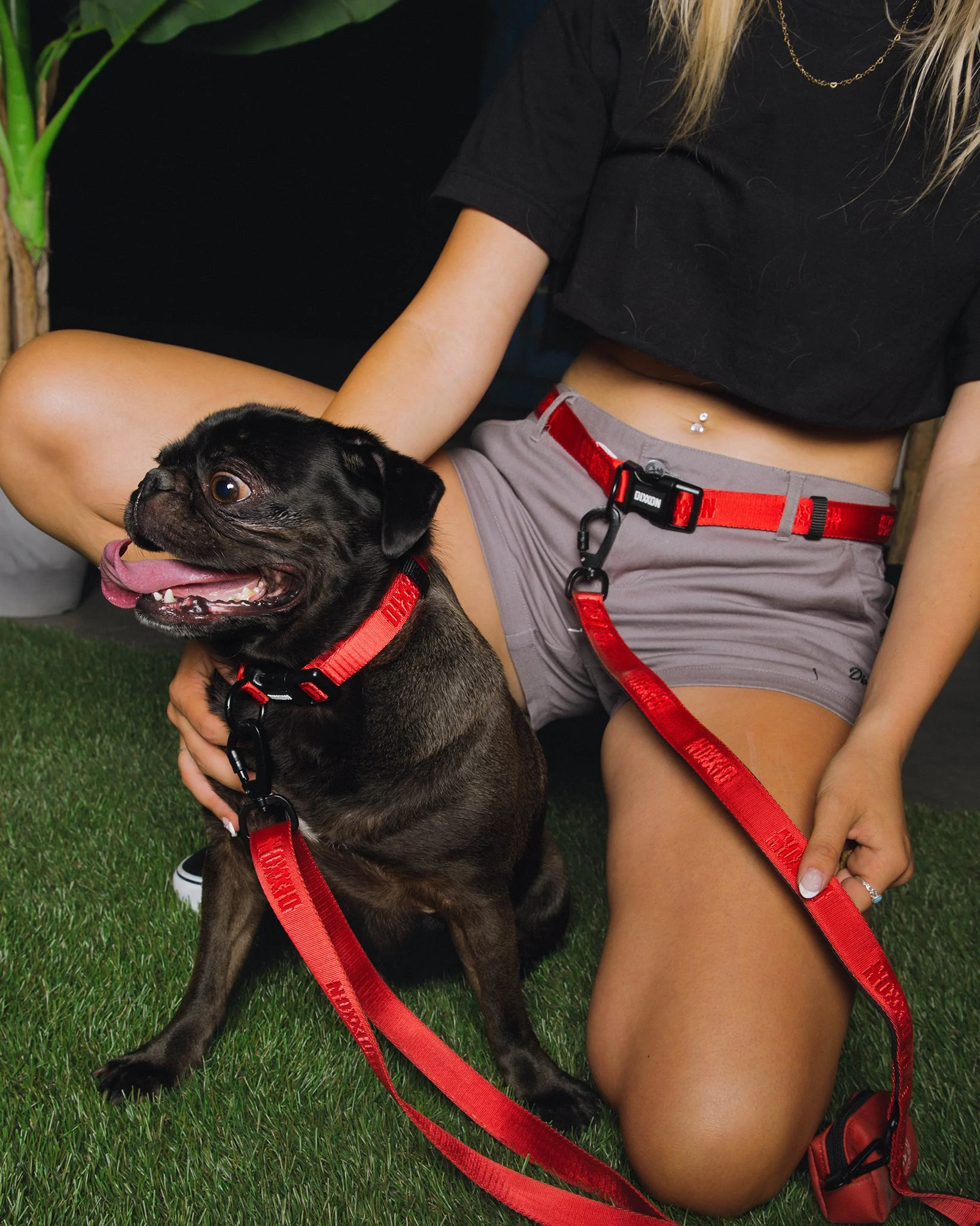 Dixxon Dog Collar - Red - Image 3