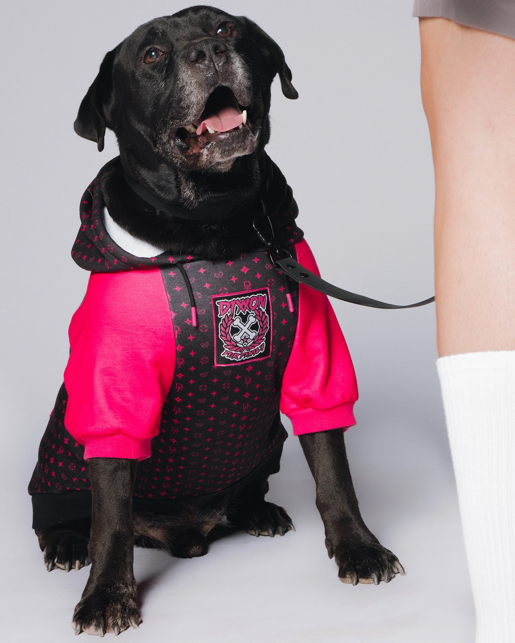 Dog Hoodie - Bougie - Black & Pink - Image 2