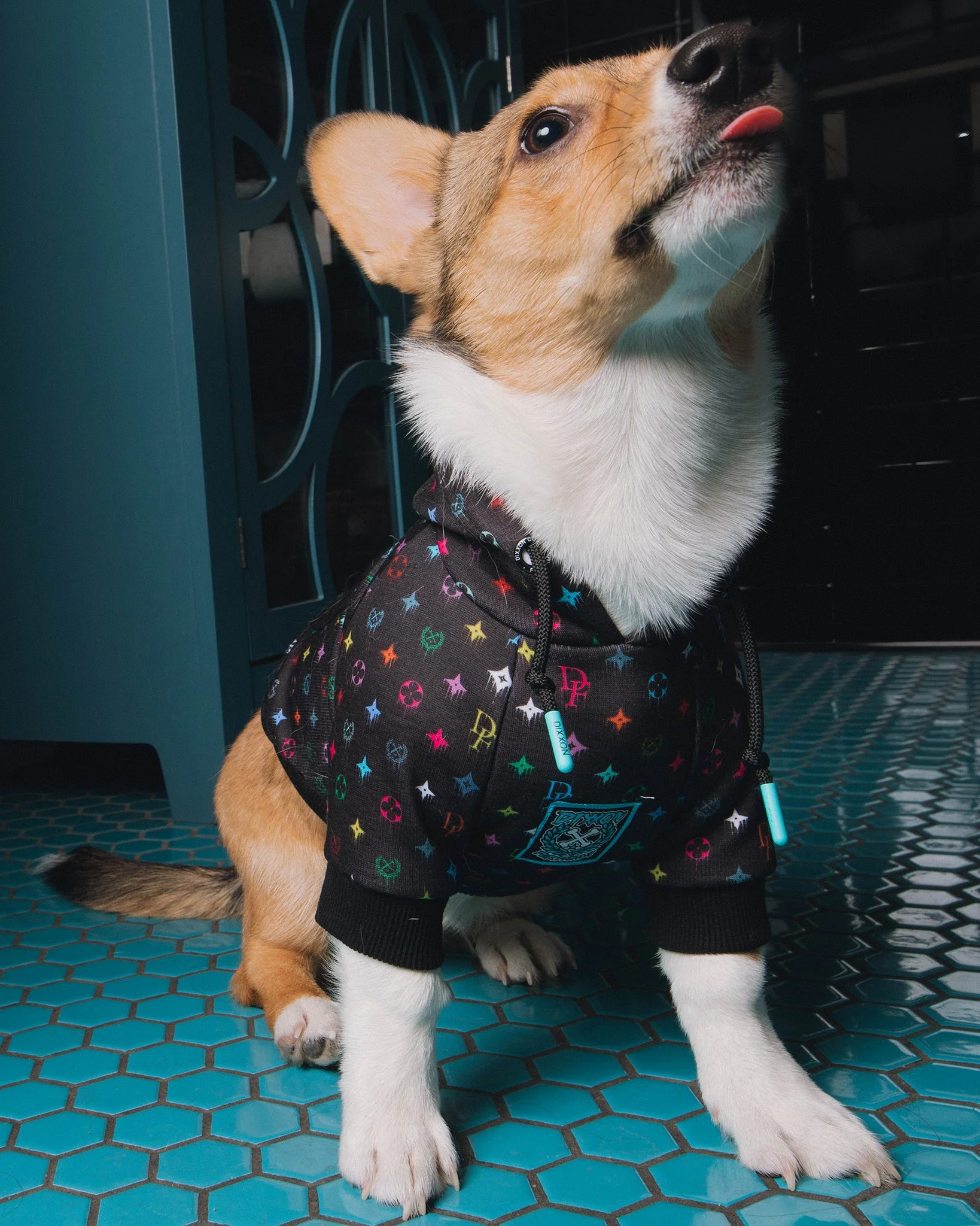 Dog Hoodie - Bougie - Multi Drip - Image 2