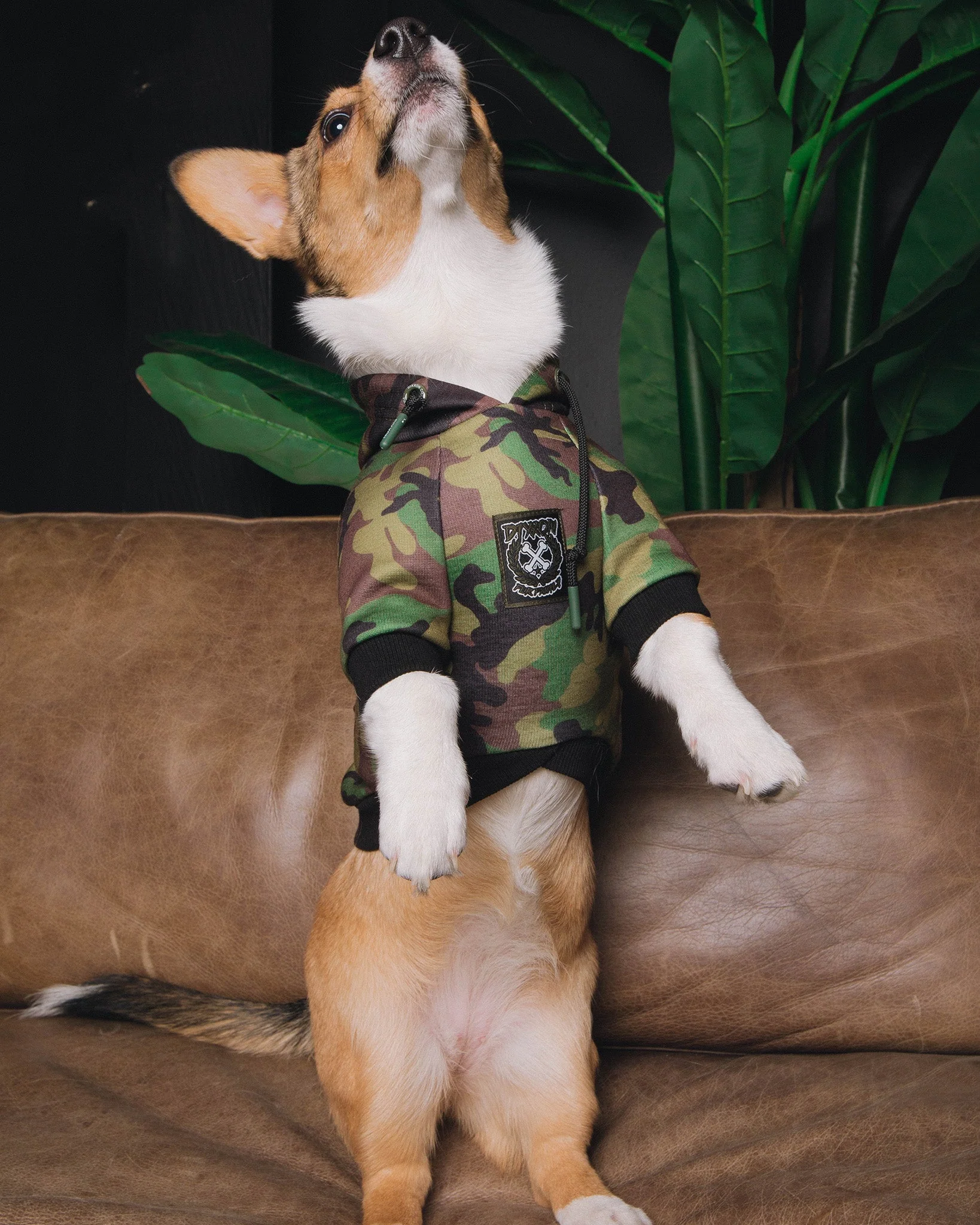 Dog Hoodie - Camo - Image 4