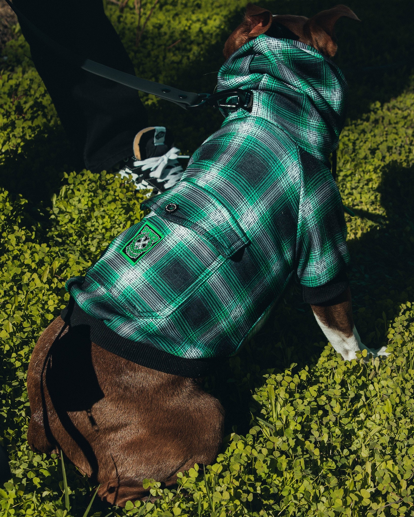 Dog Hoodie - Emerald Isle - Image 2