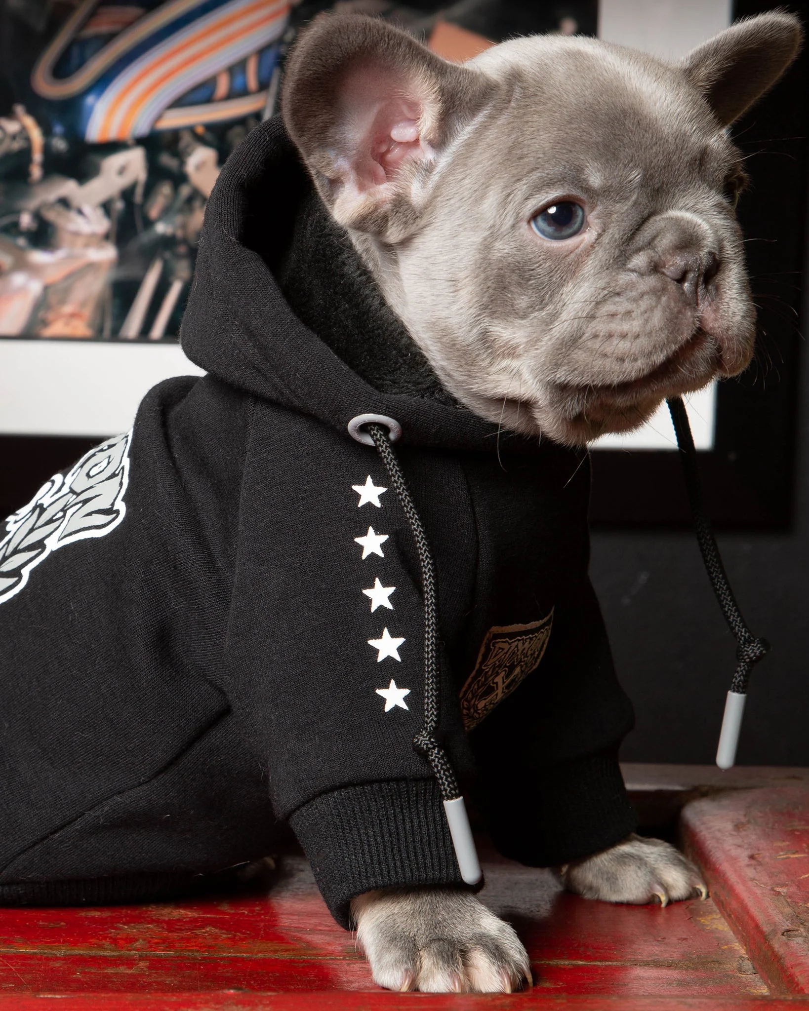 Dog Hoodie - Fur Family - Black & Gray - Image 5