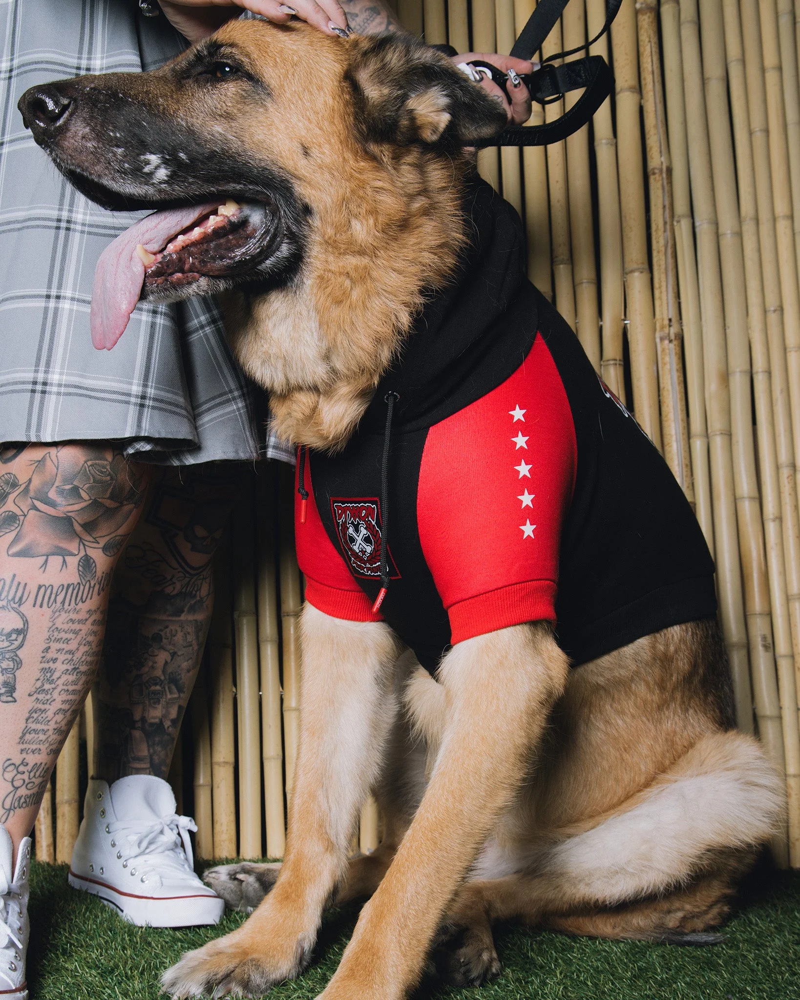 Dog Hoodie - Fur Family - Black & Red - Image 3