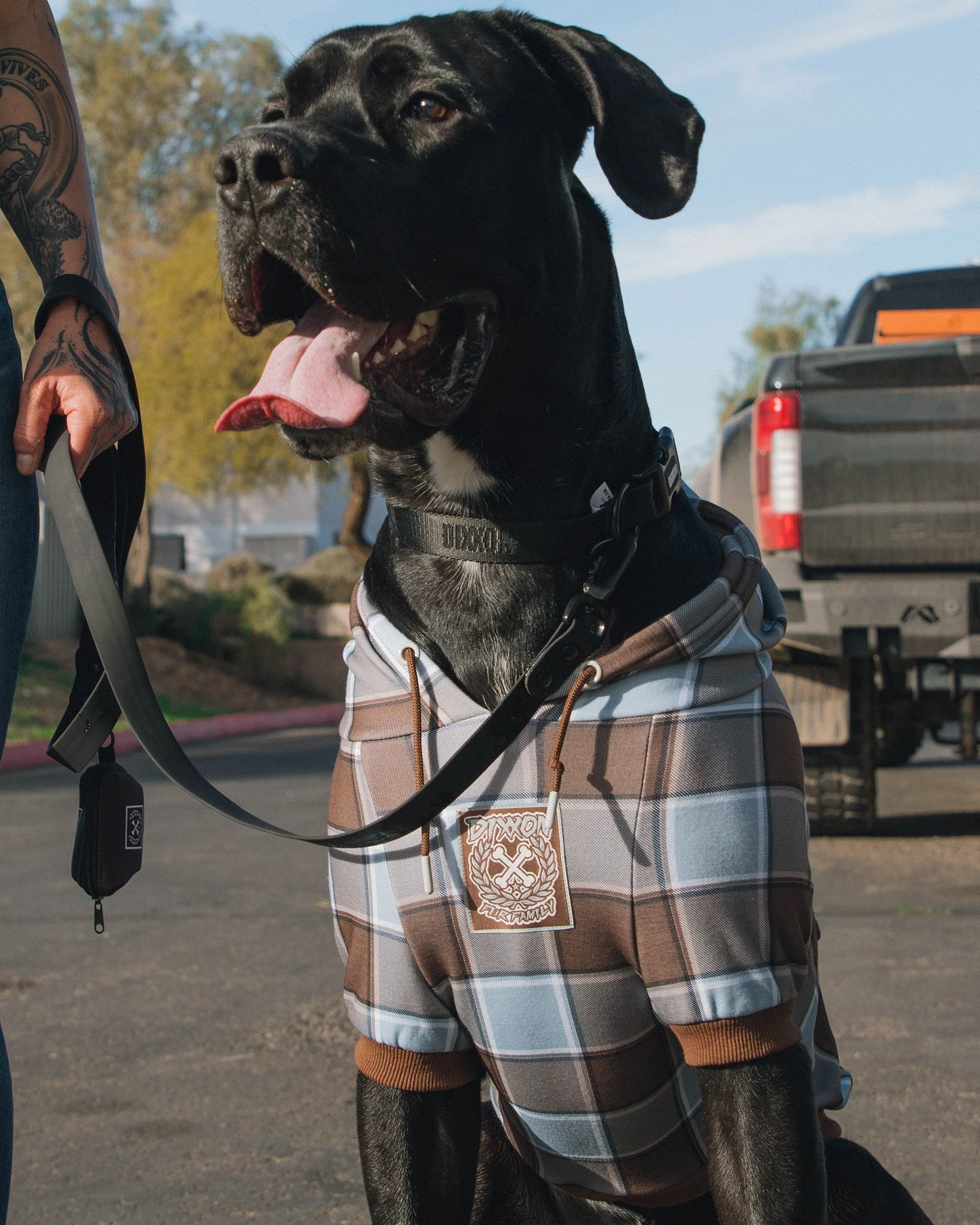 Dog Hoodie - T-Street - Image 2