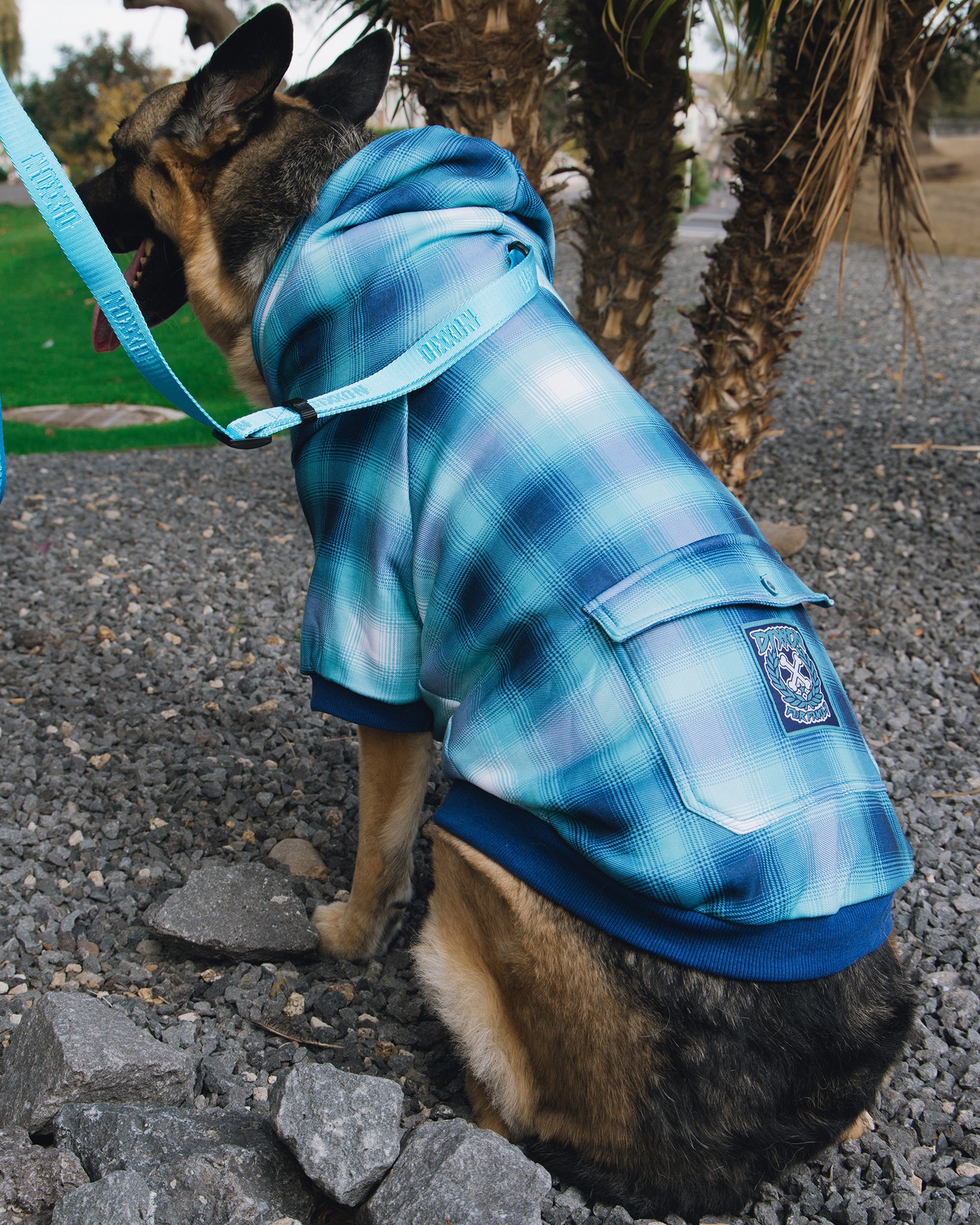 Dog Hoodie - The Shelf - Image 2