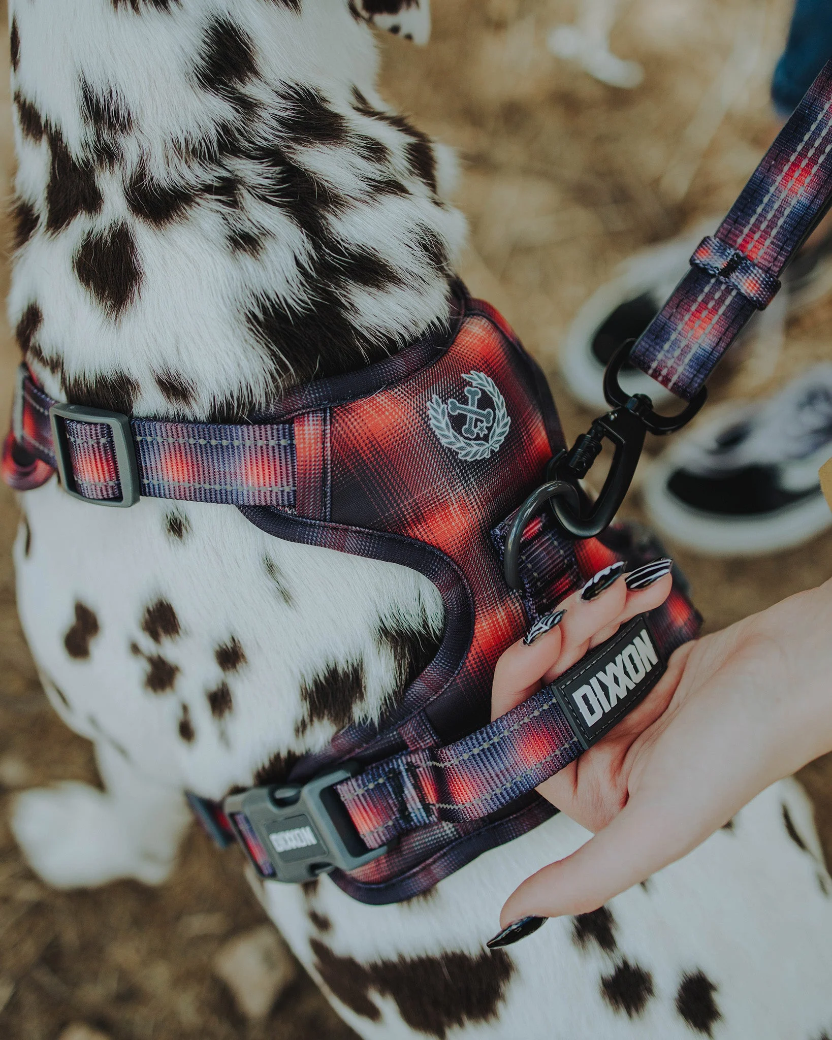 Mesh Dog Harness - Ash - Image 2