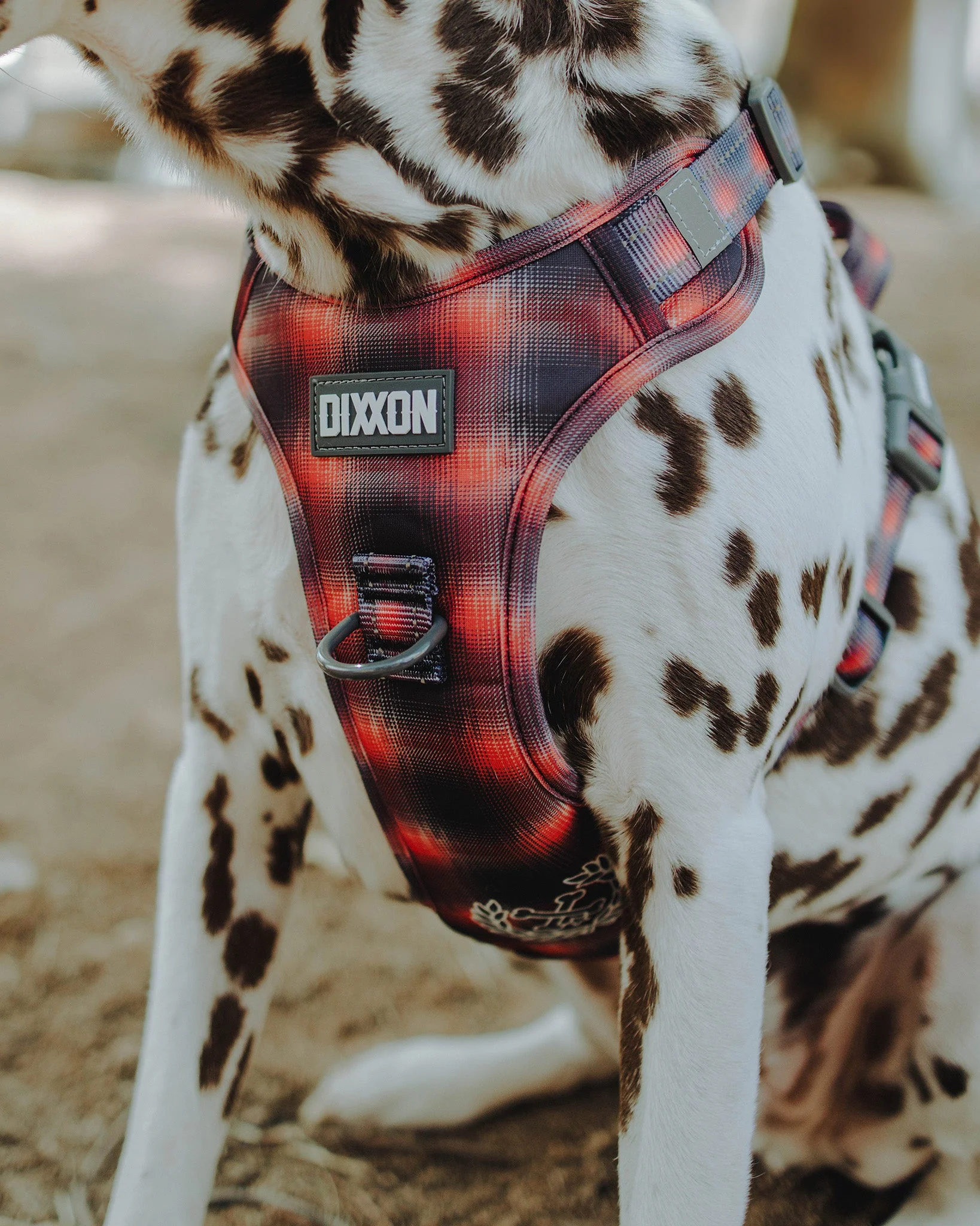 Mesh Dog Harness - Ash - Image 3