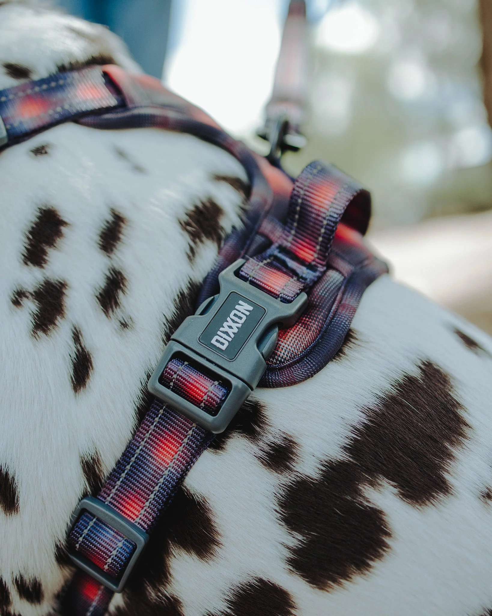 Mesh Dog Harness - Ash - Image 4