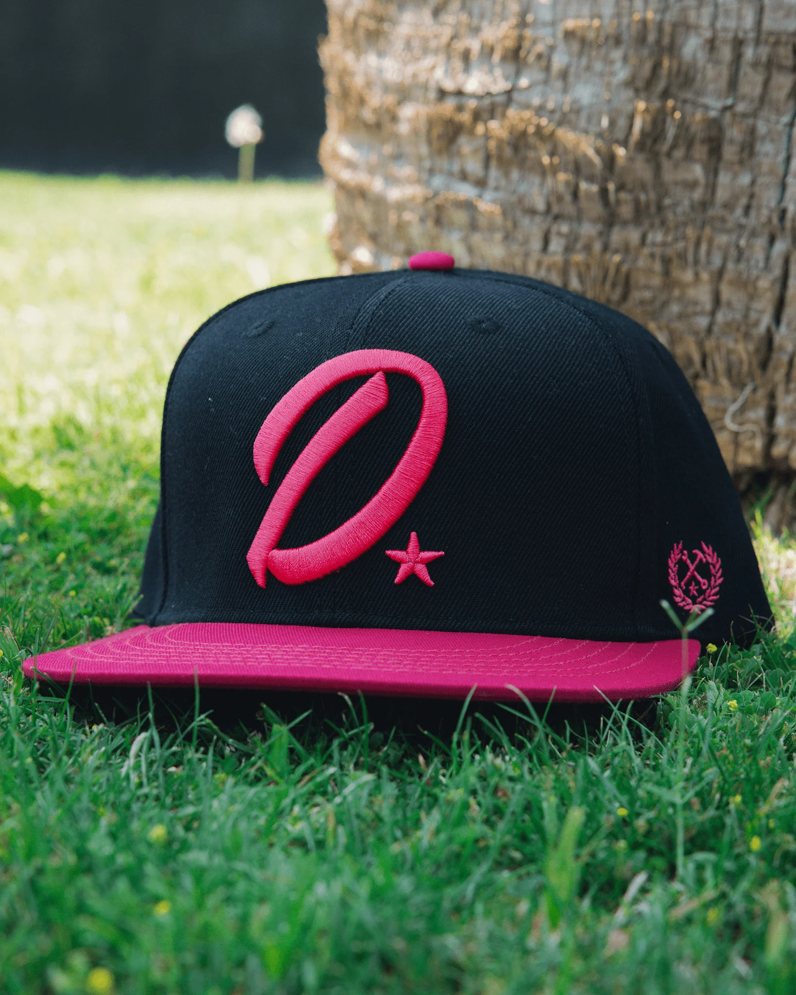 Pink D-Star Flat Bill Snapback - Black - Image 2